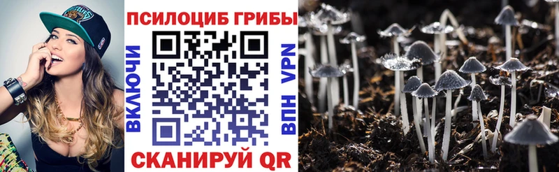 Псилоцибиновые грибы Psilocybine cubensis  Старый Крым 